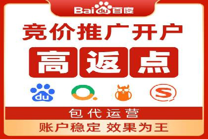 成功案例：网络推广与竞价广告的完美结合